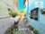 Apartamento, 3 quartos, 90 m² - Foto 2