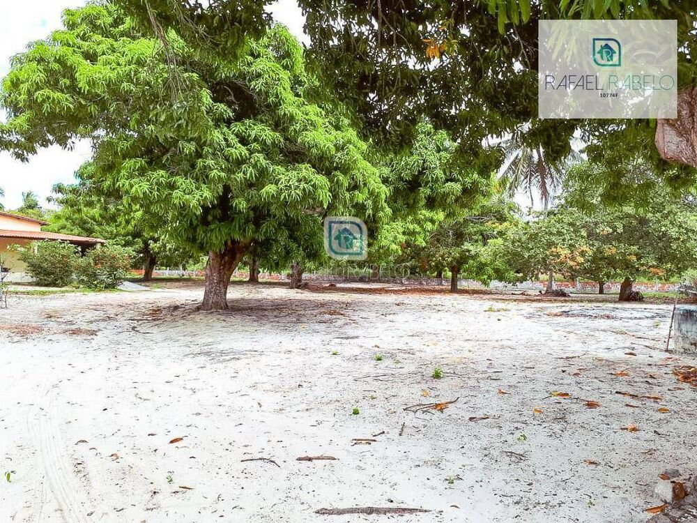 Sítio, 2 hectares - Foto 7