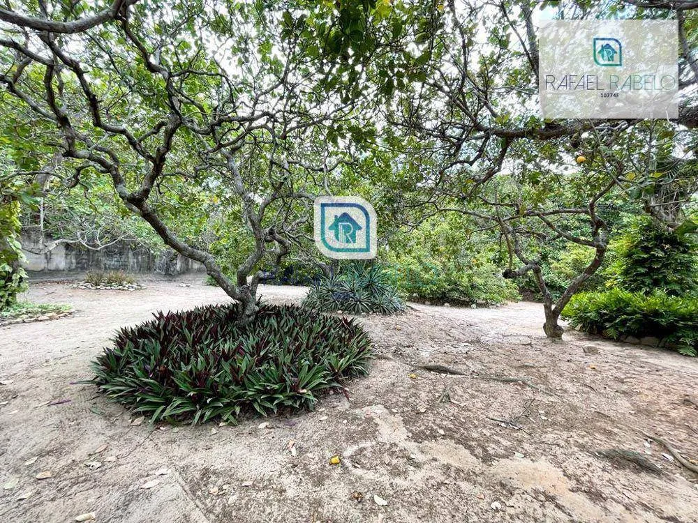 Chácara, 5 quartos, 3 hectares - Foto 11