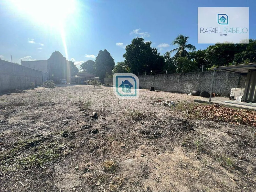 Casa, 3 quartos, 300 m² - Foto 6