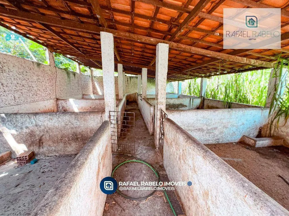 Sítio, 9 quartos, 9800 m² - Foto 12