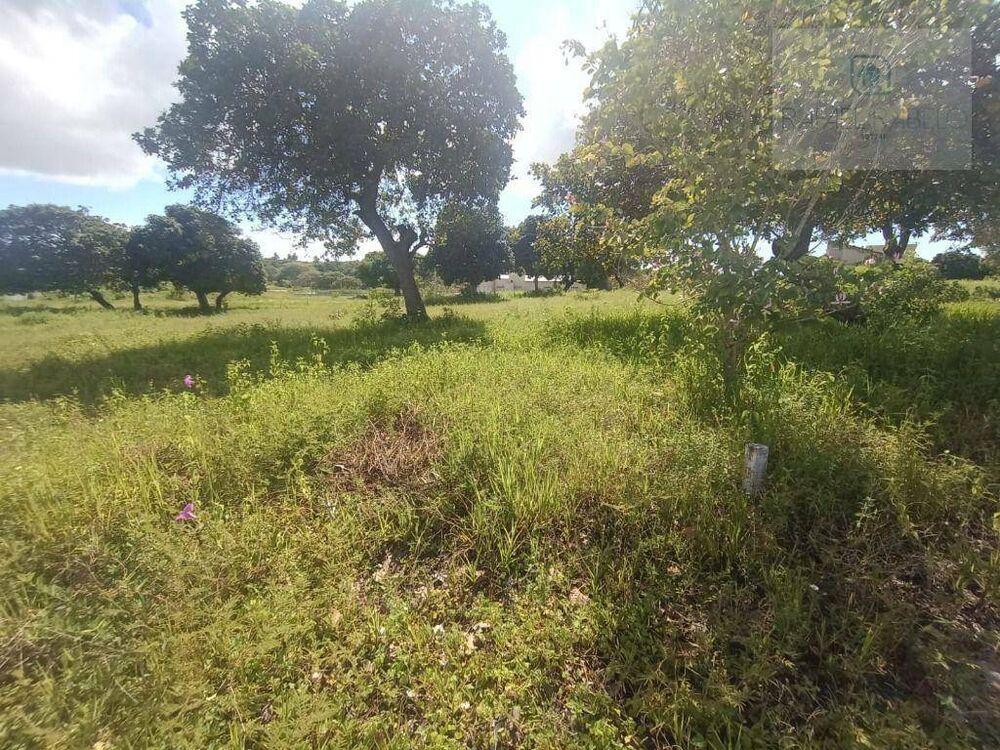 Loteamento e Condomínio, 261 m² - Foto 3