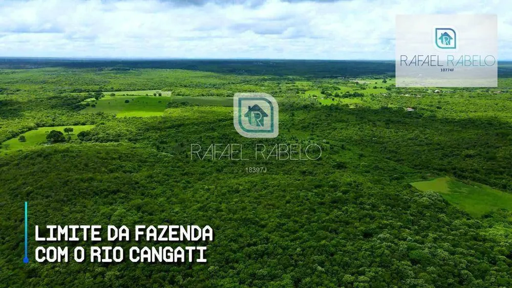 Fazenda, 162 hectares - Foto 4