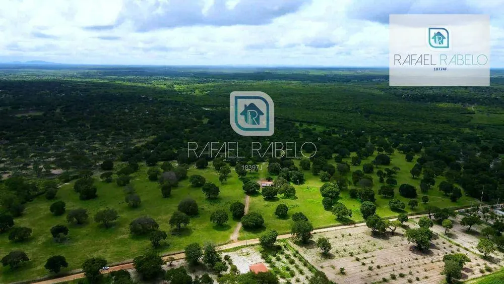 Fazenda, 162 hectares - Foto 3