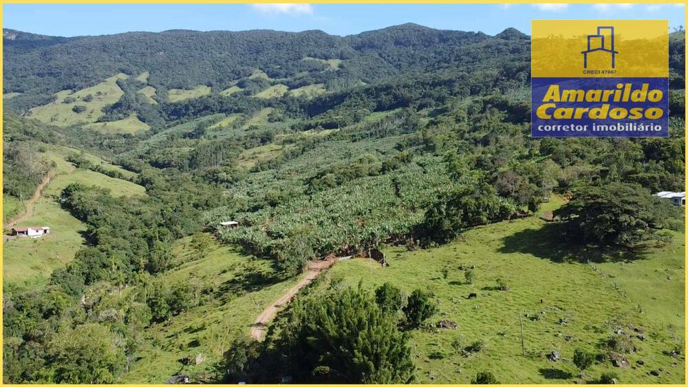 Terreno, 20 hectares - Foto 8