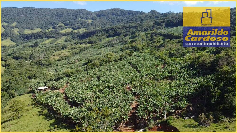 Terreno, 20 hectares - Foto 2