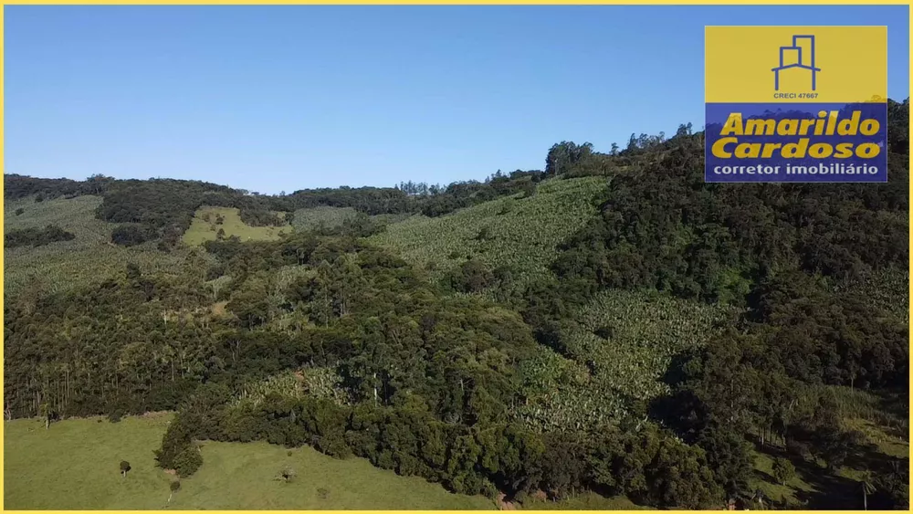 Terreno, 8 hectares - Foto 4