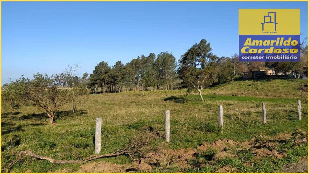 Terreno, 9000 m² - Foto 3