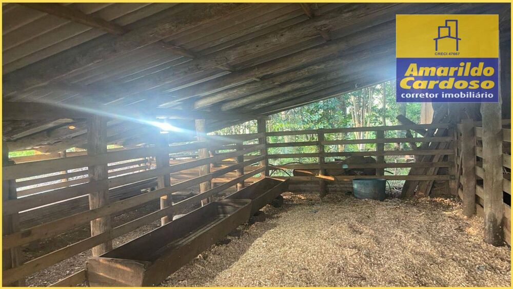 Chácara, 2 quartos, 10 hectares - Foto 7