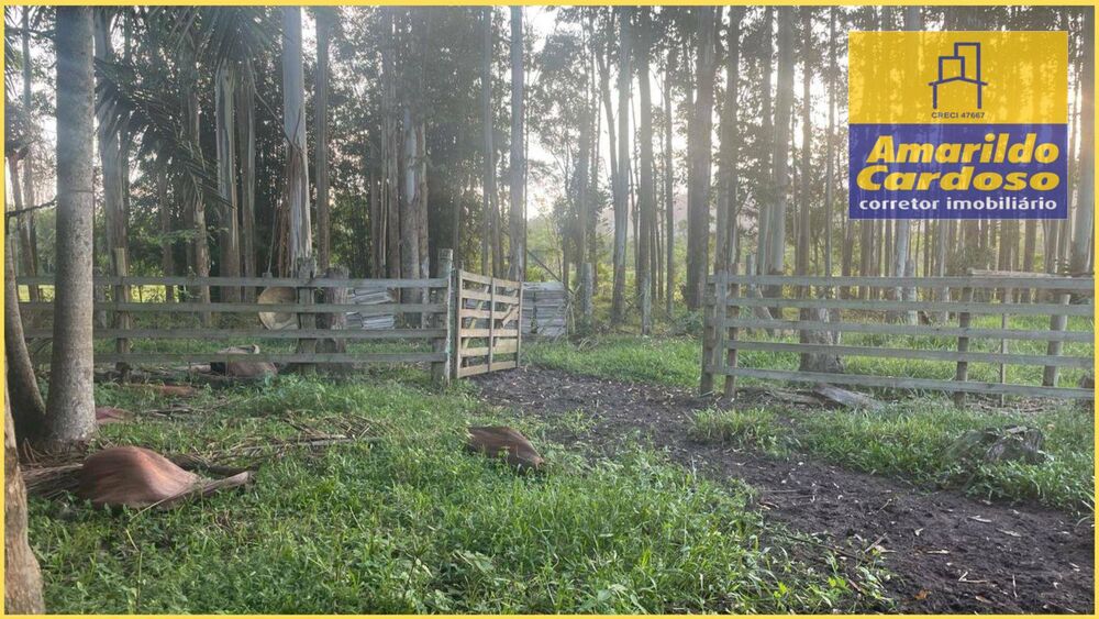 Chácara, 2 quartos, 10 hectares - Foto 5