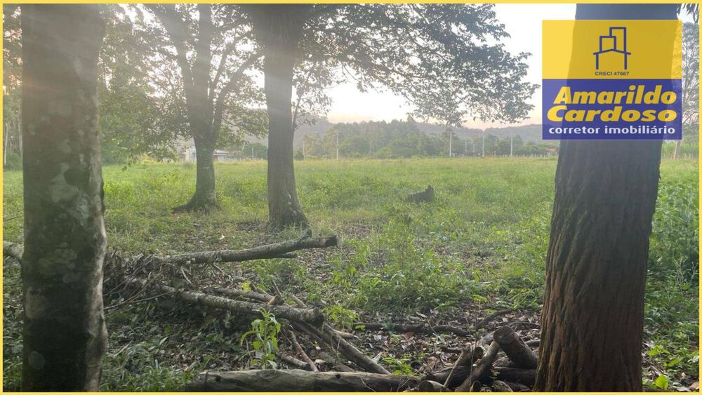 Chácara, 2 quartos, 10 hectares - Foto 11