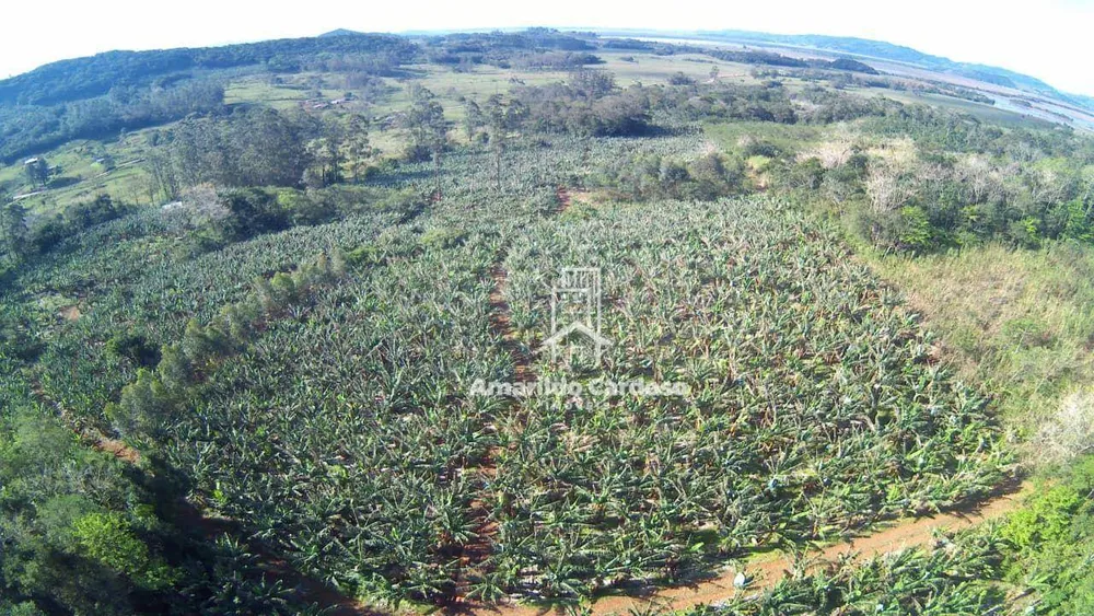 Terreno, 13 hectares - Foto 12