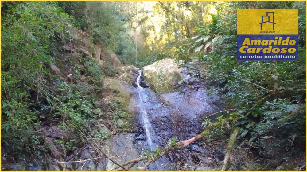 Terreno, 33 hectares - Foto 4