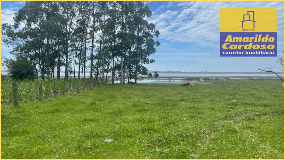 Chácara, 3 quartos, 7563 m² - Foto 6