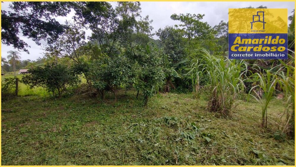 Casa, 2 quartos, 36 m² - Foto 4