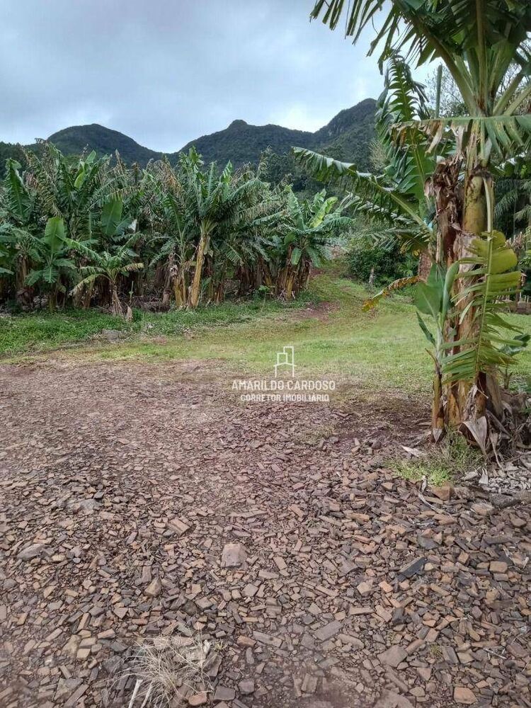 Chácara, 3 quartos, 3 hectares - Foto 14