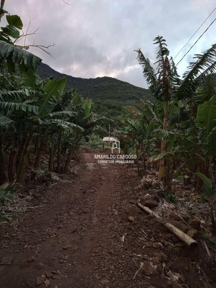 Chácara, 3 quartos, 3 hectares - Foto 18