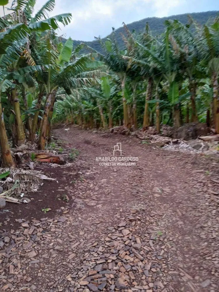 Chácara, 3 quartos, 3 hectares - Foto 6