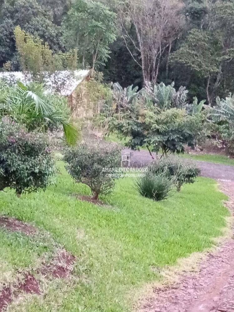 Chácara, 3 quartos, 3 hectares - Foto 3
