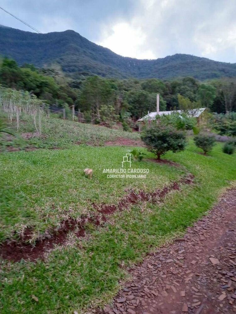 Chácara, 3 quartos, 3 hectares - Foto 13