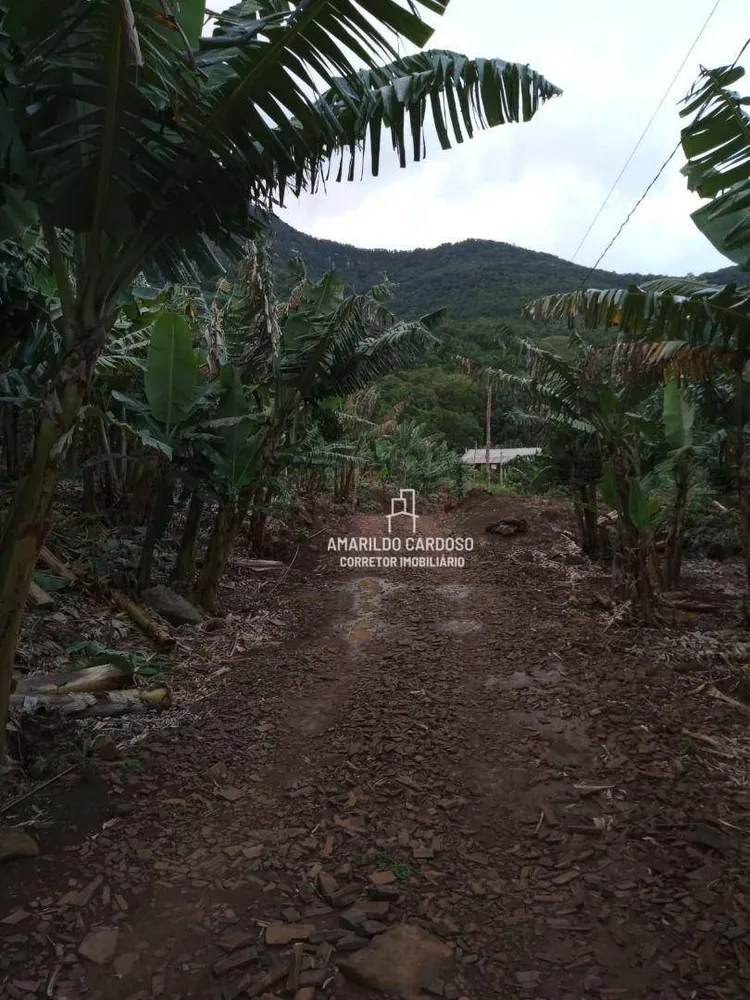 Chácara, 3 quartos, 3 hectares - Foto 22