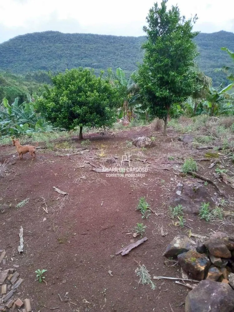 Chácara, 3 quartos, 3 hectares - Foto 9