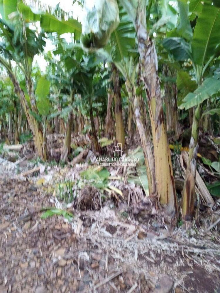 Chácara, 3 quartos, 3 hectares - Foto 4