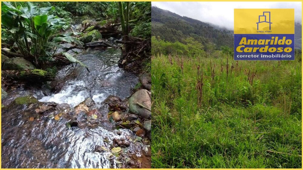 Terreno, 7 hectares - Foto 4