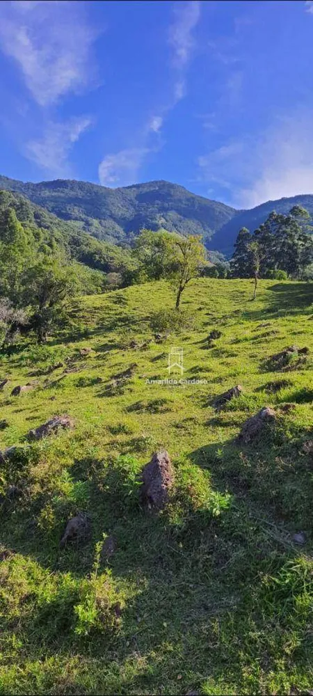 Terreno, 7 hectares - Foto 4