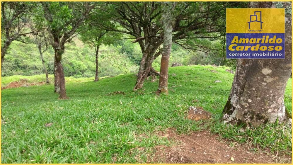 Terreno, 7 hectares - Foto 5