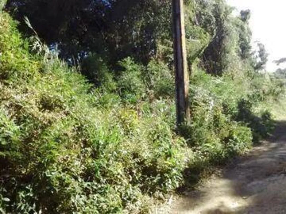 Terreno, 7000 m² - Foto 2