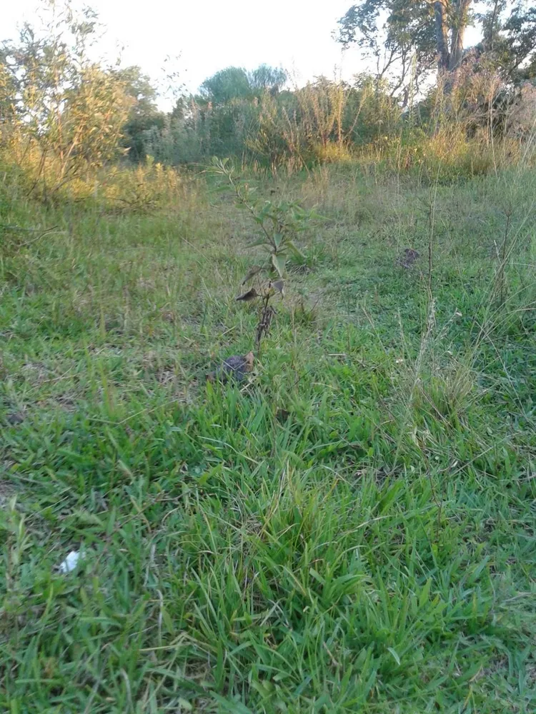 Terreno, 360 m² - Foto 1