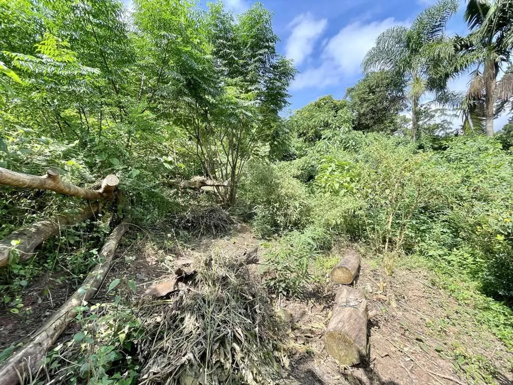Terreno, 907 m² - Foto 5