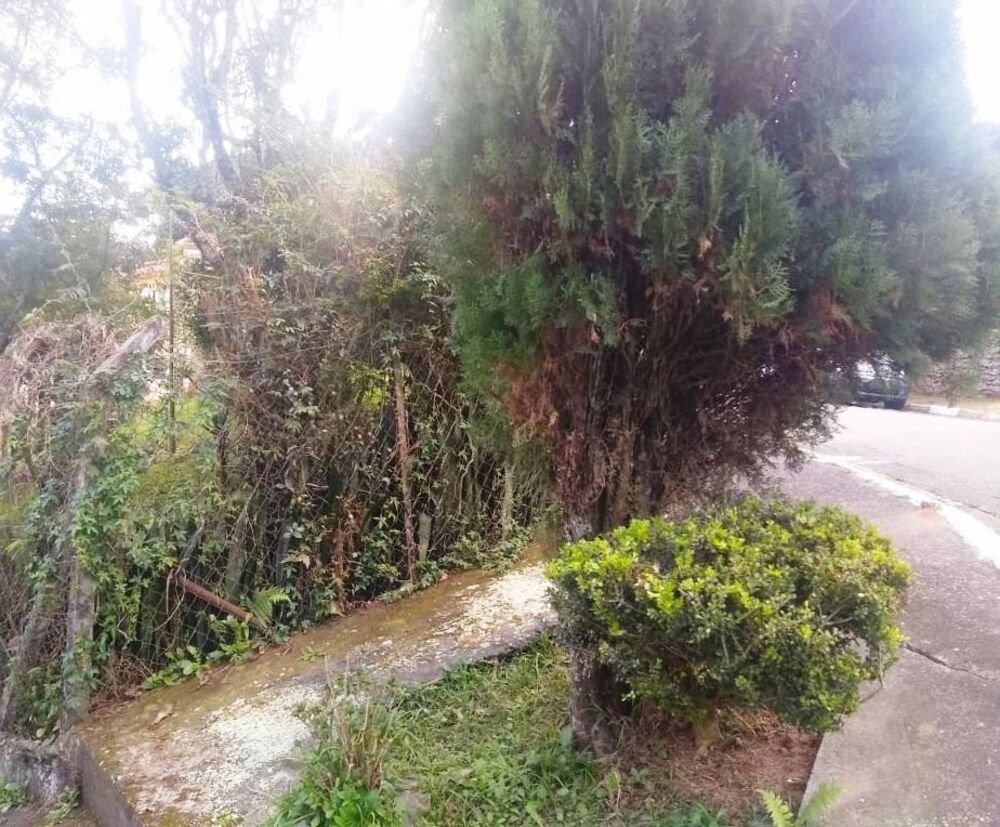 Terreno, 234 m² - Foto 1