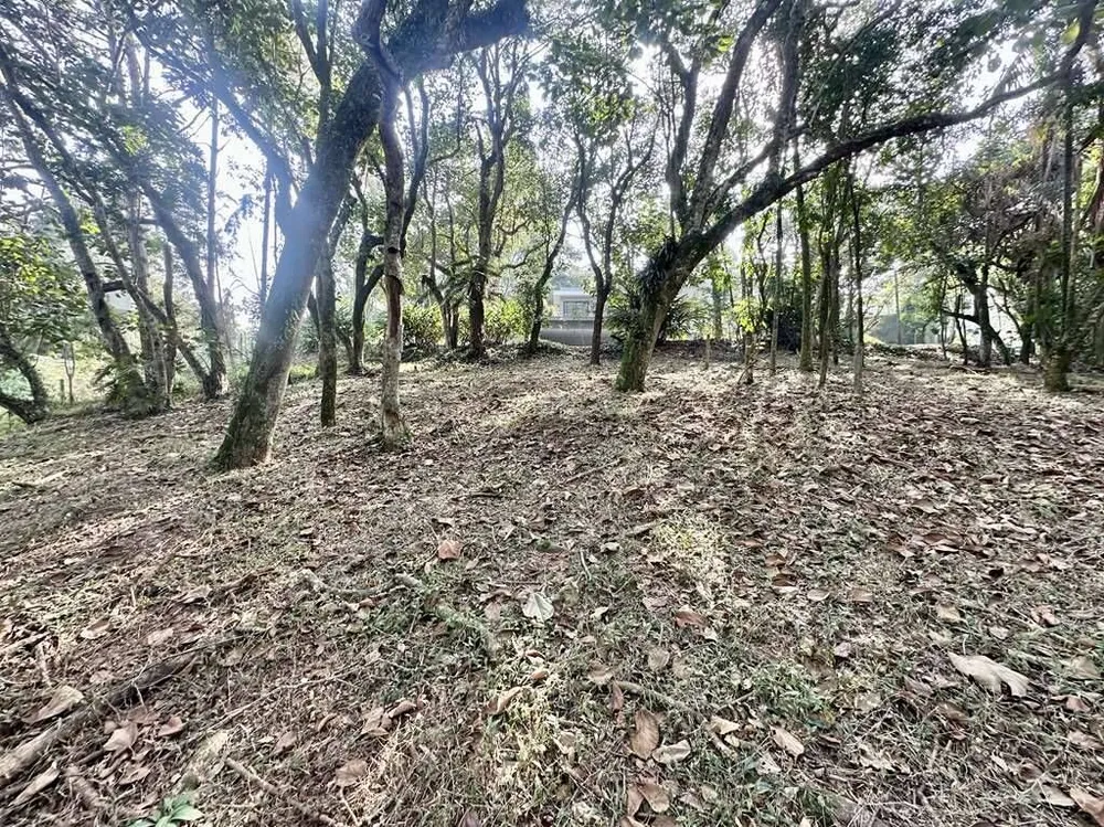 Loteamento e Condomínio, 1470 m² - Foto 6