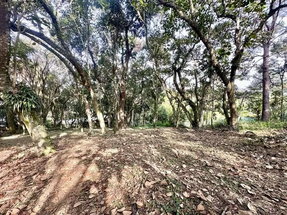 Loteamento e Condomínio, 1470 m² - Foto 4