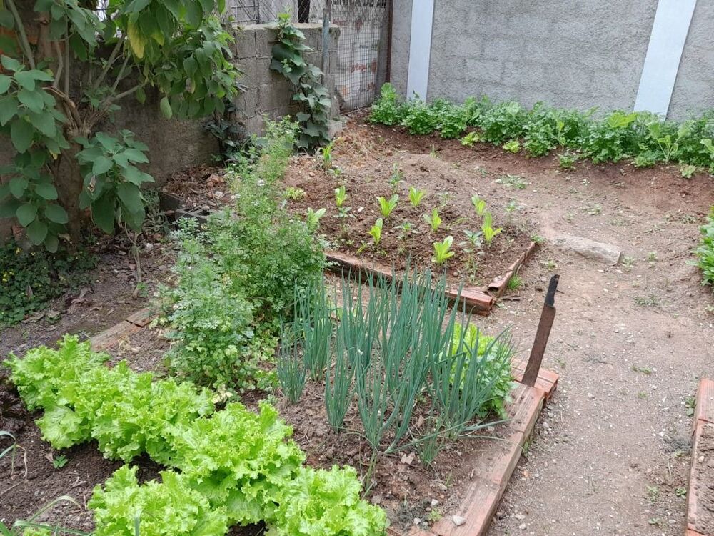 Chácara à venda com 4 quartos, 1500m² - Foto 51