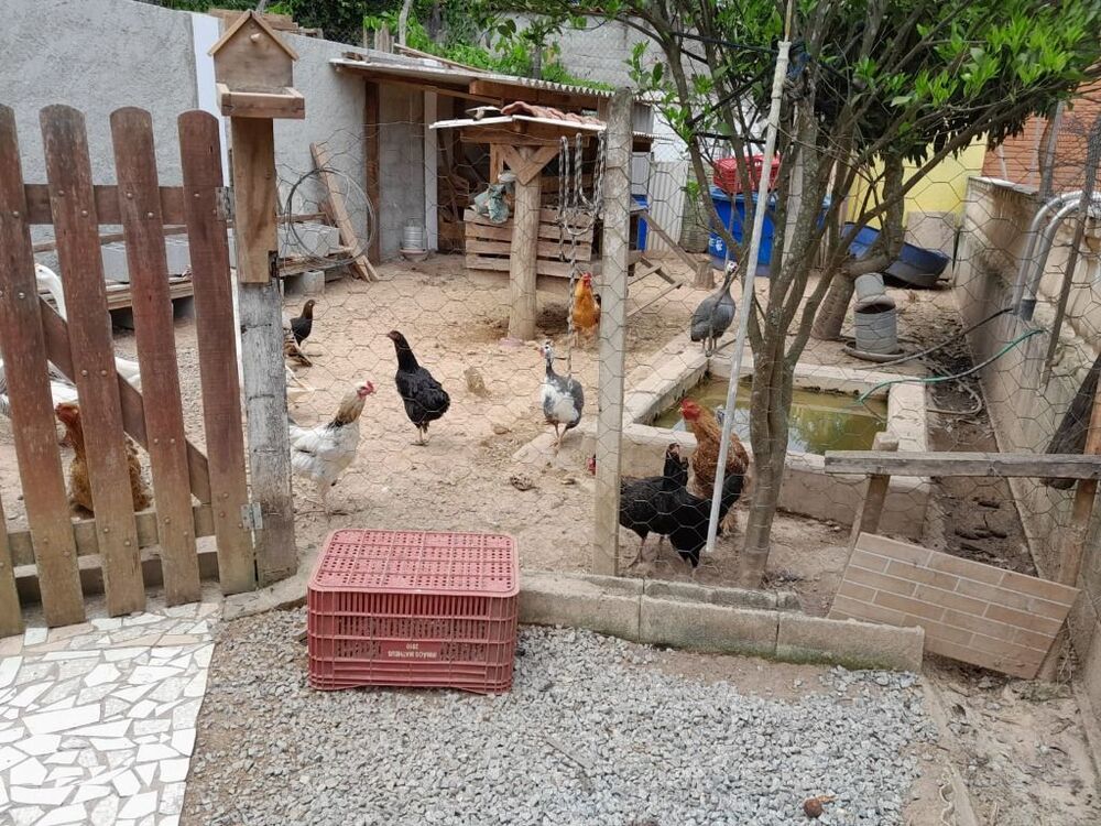 Chácara à venda com 4 quartos, 1500m² - Foto 46