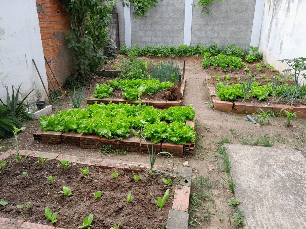 Chácara à venda com 4 quartos, 1500m² - Foto 49