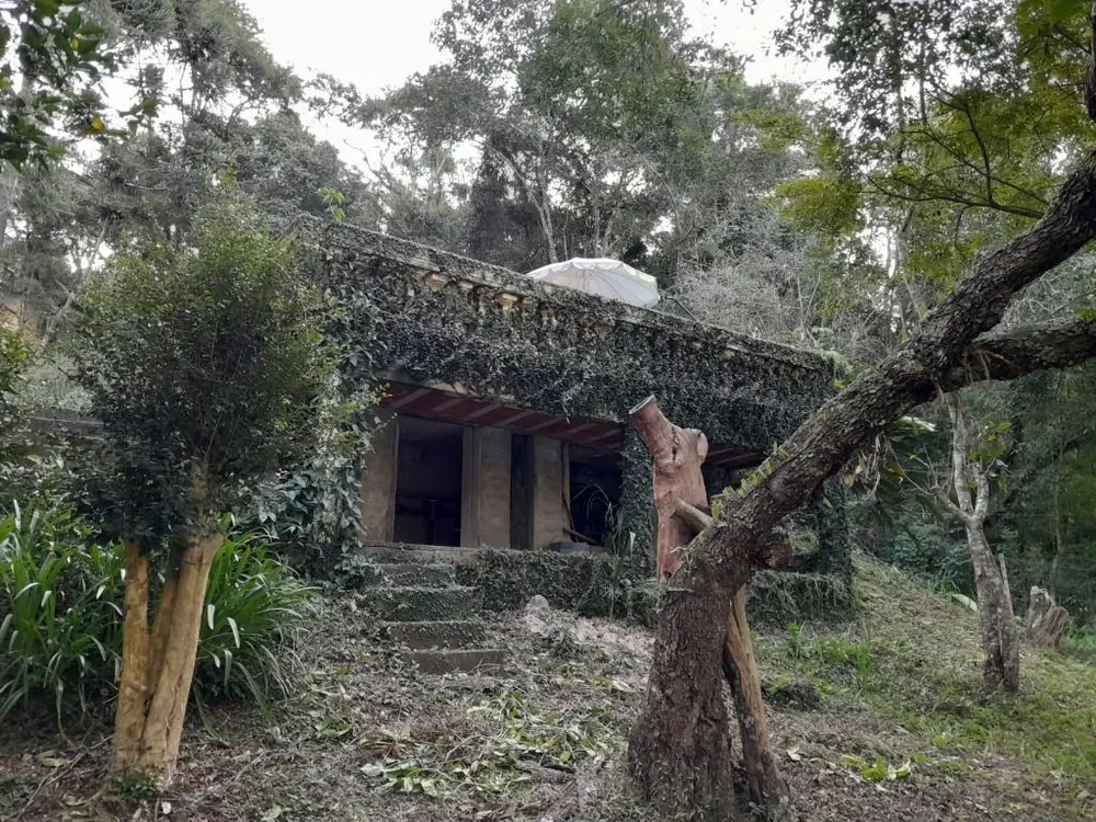 Chácara, 3 quartos, 6000 m² - Foto 14