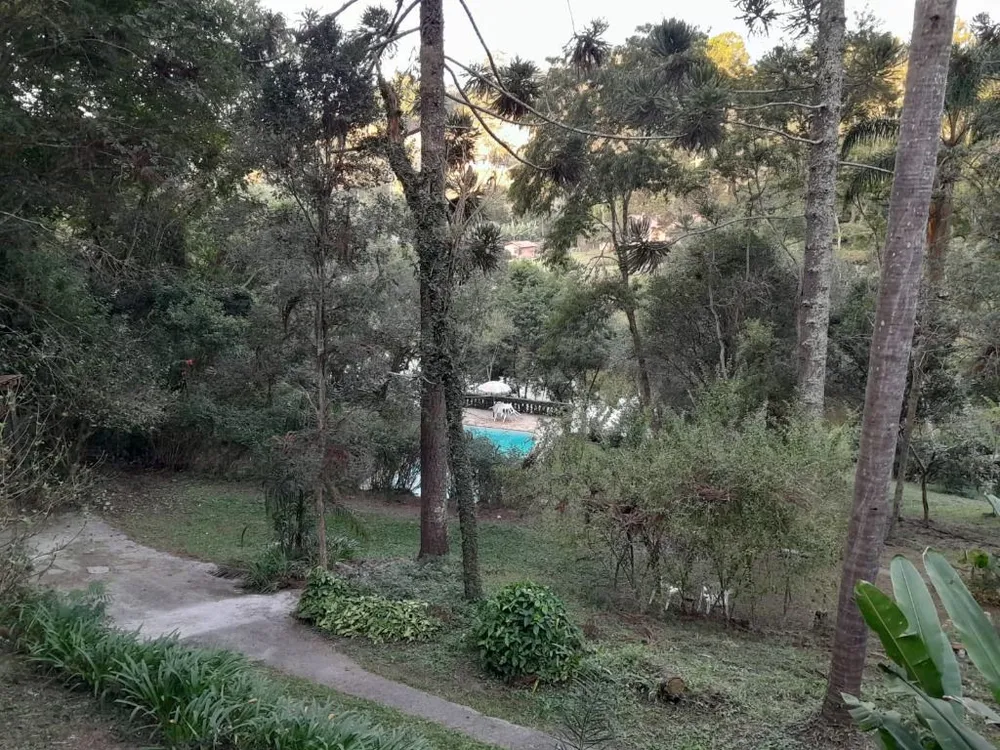 Chácara, 3 quartos, 6000 m² - Foto 9