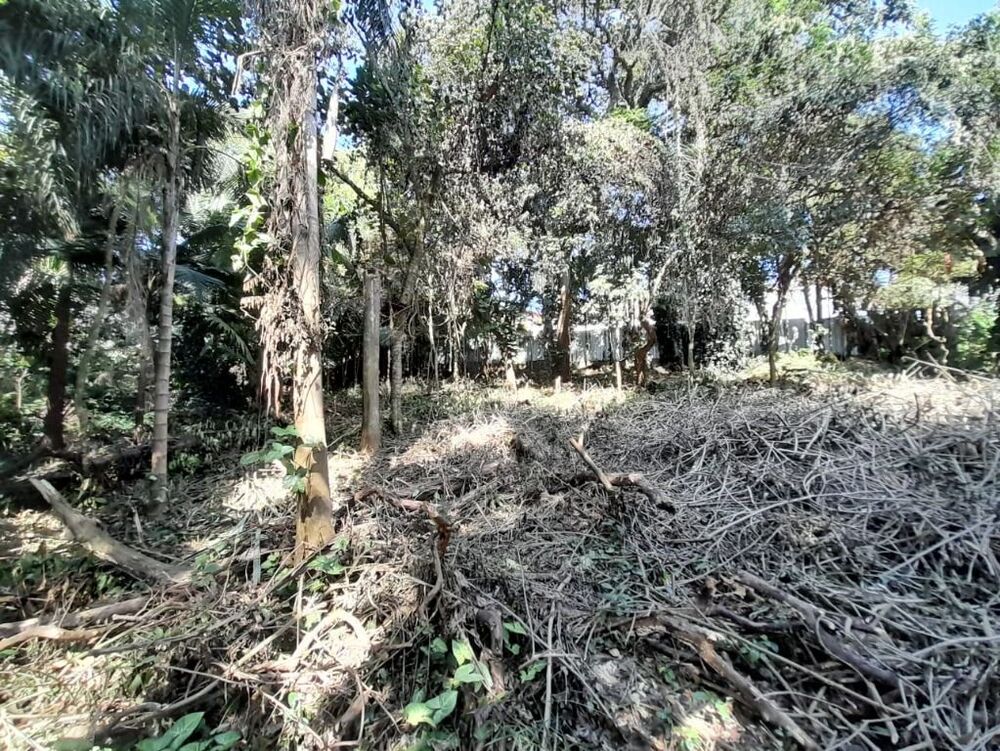 Loteamento e Condomínio, 1090 m² - Foto 3