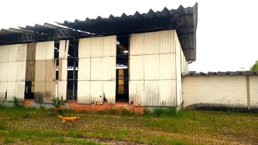 Depósito-Galpão, 18006 m² - Foto 8
