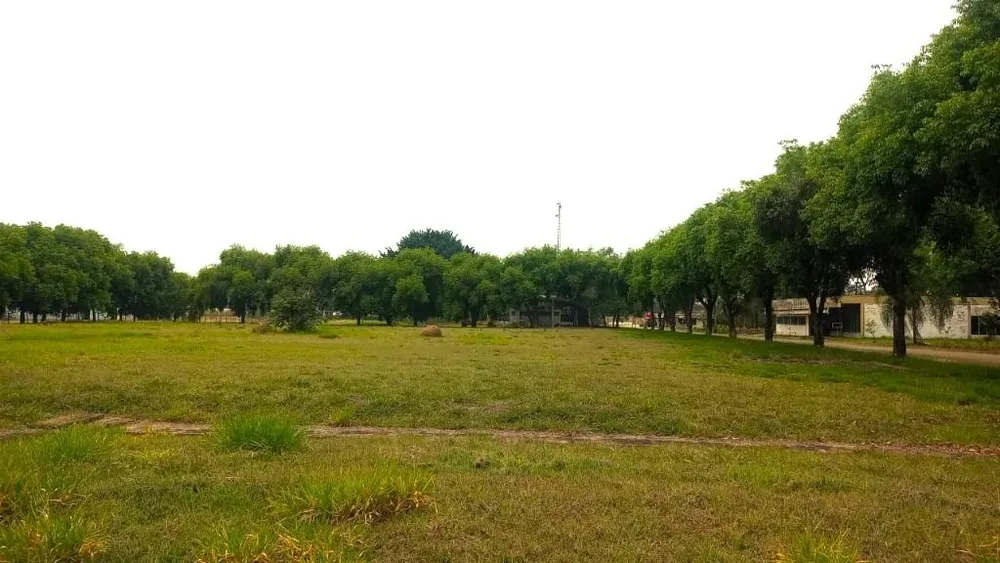 Depósito-Galpão, 18006 m² - Foto 6
