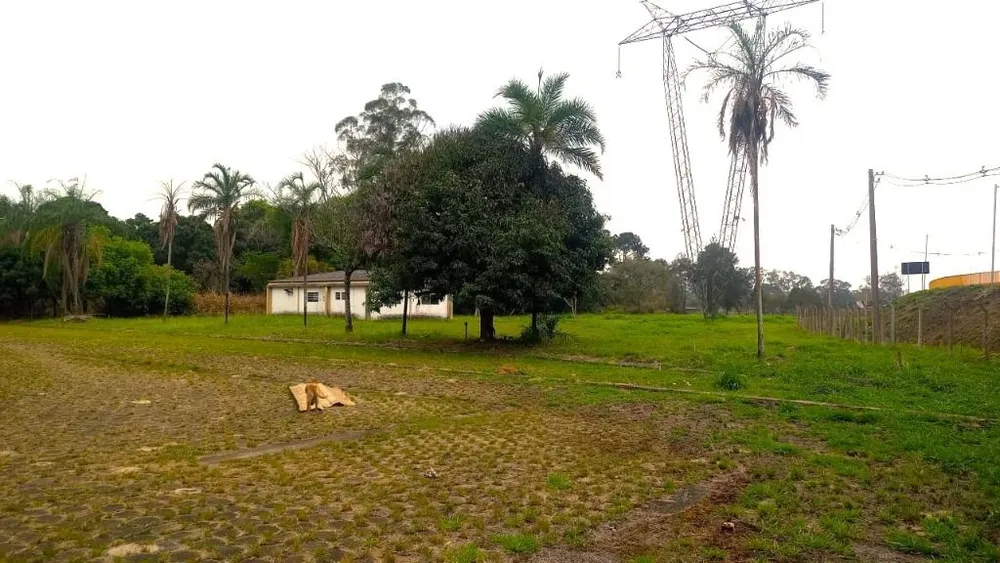 Depósito-Galpão, 18006 m² - Foto 4