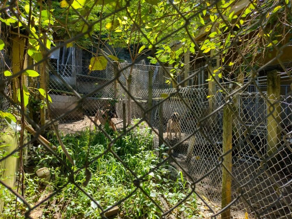 Casa de Condomínio, 3 quartos - Foto 20