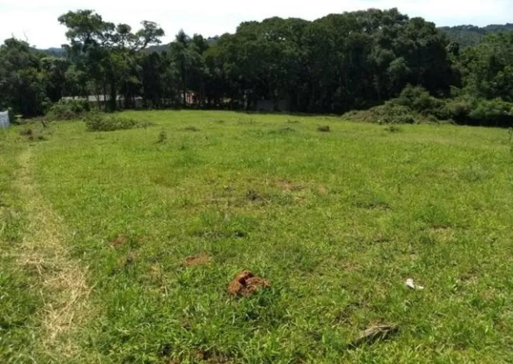 Terreno, 6000 m² - Foto 2