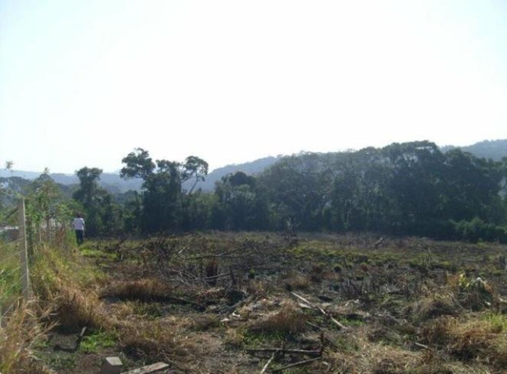 Terreno, 6000 m² - Foto 2