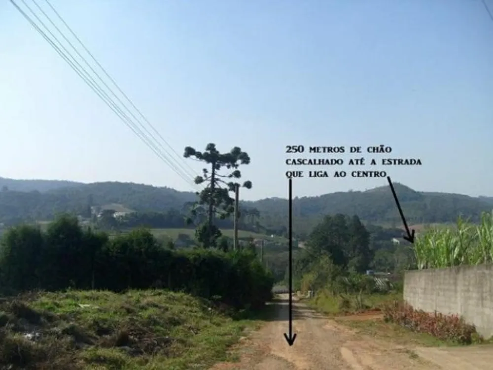 Terreno, 6000 m² - Foto 9