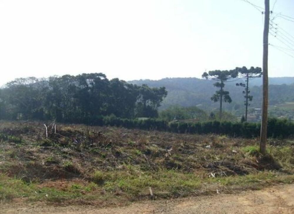 Terreno, 6000 m² - Foto 3